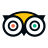 TripAdvisor Reviews